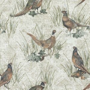 PLUMAGE