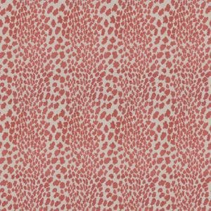 SEEING SPOTS